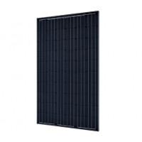 SolarWorld SW 290 Mono Black